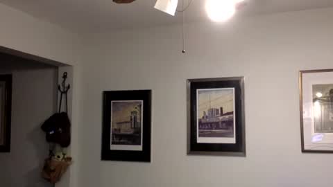 Snapshot of tylerdurden256 chatting on 14, 2, 2025 Tyler Durden online show from 14, 2, 2025