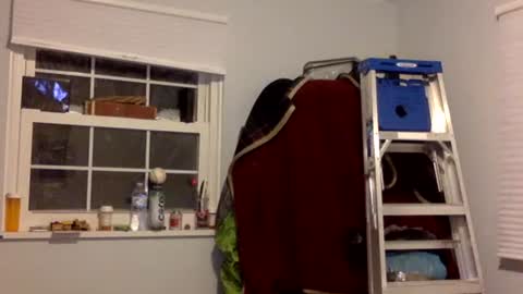 Snapshot of tylerdurden256 chatting on 17, 2, 2025 Tyler Durden online show from 17, 2, 2025