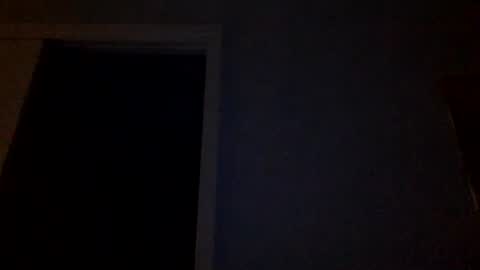 Snapshot of tylerdurden256 chatting on 4, 3, 2025 Tyler Durden online show from 4, 3, 2025