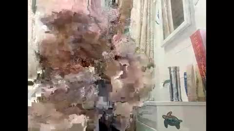 tylerweist727678265 online show from 19, 4, 2026