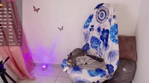 new INSTA   online show from 11, 1, 2026