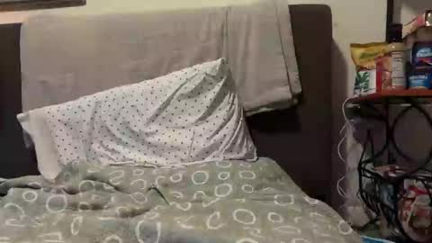 Stepbro online show from 7, 3, 2025