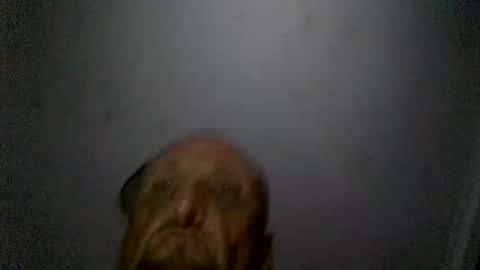 uplatenhorny2379 online show from 20, 12, 2025