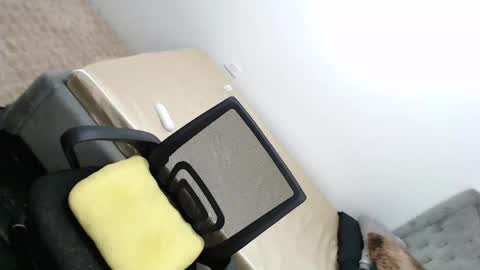Snapshot of urkatiecookie chatting on 26, 2, 2025 Amira online show from 26, 2, 2025