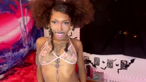 Dolly online show from 17, 1, 2026