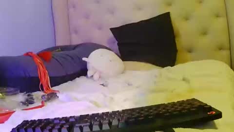 command me  online show from 11, 2, 2026