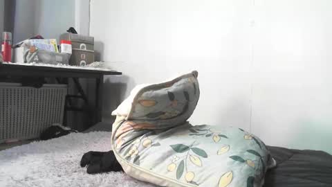 Snapshot of urnightmarets chatting on 3, 2, 2026 Rbabes online show from 3, 2, 2026