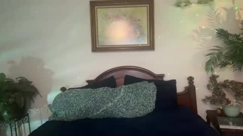 Sasha online show from 2, 12, 2024