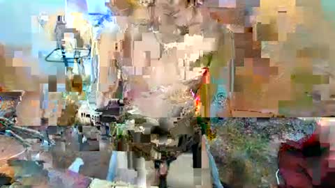 hello your sweetgirl thallea  online show from 2, 2, 2025