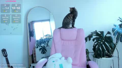 Snapshot of uryko_yor chatting on 13, 7, 2026 online show from 13, 7, 2026