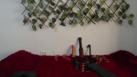 vaiolet online show from 10, 11, 2025