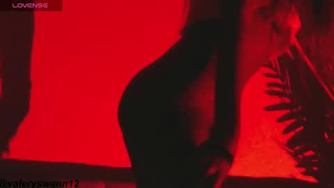 Valery swan1 online show from 16, 2, 2025