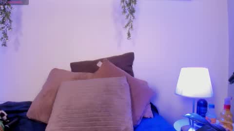 vamp  online show from 24, 11, 2025