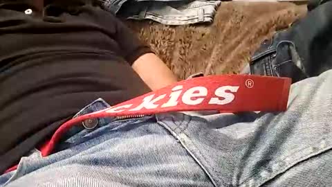 Snapshot of vanyllaice chatting on 18, 1, 2026 Vanyllaice online show from 18, 1, 2026