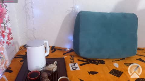 Snapshot of vasya_sylvia chatting on 10, 12, 2024 Vasya Sylvia online show from 10, 12, 2024