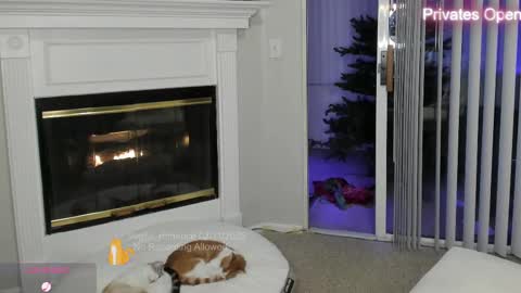 Snapshot of vegas_romance chatting on 12, 2, 2025 vegas_romance online show from 12, 2, 2025