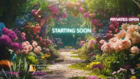 Snapshot of vegas_romance chatting on 15, 9, 2025 vegas_romance online show from 15, 9, 2025