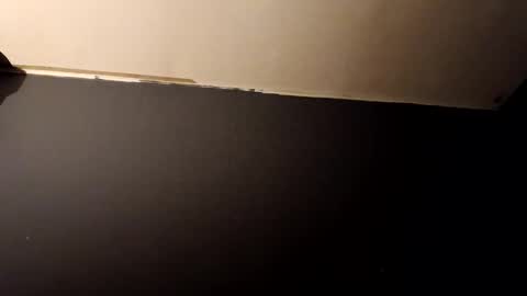 Snapshot of vegeto222 chatting on 23, 11, 2025 vegeto222 online show from 23, 11, 2025