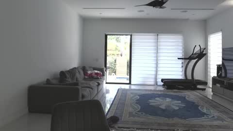 VelvetTGirl online show from 21, 2, 2026