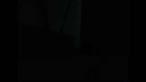 vendi1 online show from 28, 12, 2024