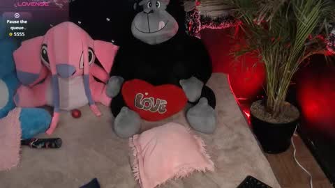 eva online show from 11, 1, 2026