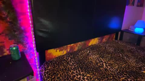 Venus online show from 10, 12, 2024