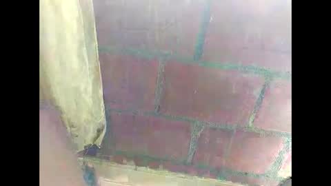 Snapshot of ver_gonblack chatting on 22, 12, 2024 ver_gonblack online show from 22, 12, 2024