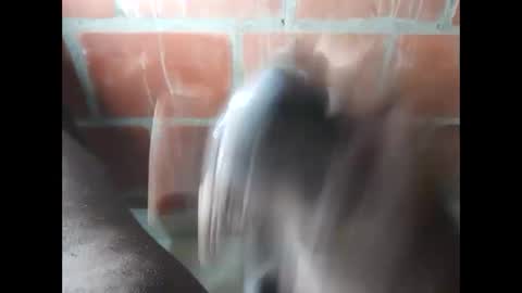 Snapshot of ver_gonblack chatting on 25, 9, 2025 ver_gonblack online show from 25, 9, 2025