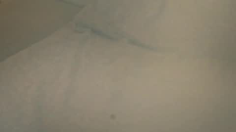 Snapshot of vern37 chatting on 23, 4, 2026 vern37 online show from 23, 4, 2026