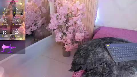Snapshot of veronica_hill_ chatting on 18, 6, 2026 veronica_hill_ online show from 18, 6, 2026