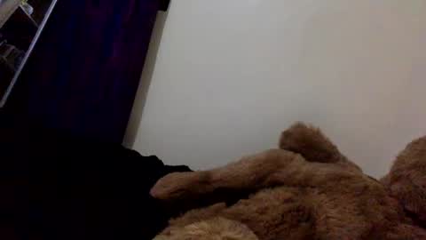 Snapshot of veryberrry chatting on 13, 4, 2026 DarkBerryBliss online show from 13, 4, 2026