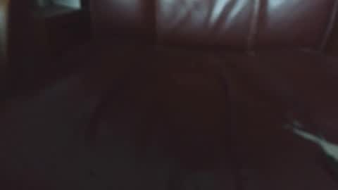 Snapshot of verylittletiny chatting on 20, 4, 2026 Erik online show from 20, 4, 2026