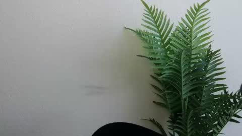 Snapshot of veryveryshygirl chatting on 4, 7, 2026 Ana online show from 4, 7, 2026