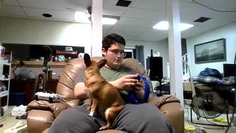 Snapshot of vicantis chatting on 11, 2, 2026 Matt online show from 11, 2, 2026