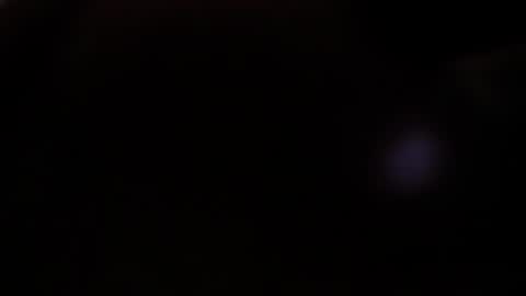 Snapshot of vicioushorse33 chatting on 14, 12, 2024 Sophie and Stan online show from 14, 12, 2024