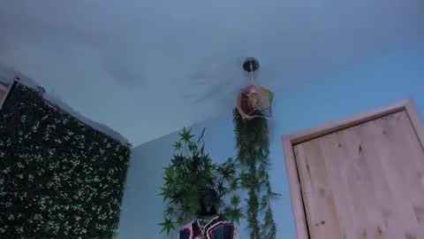 Victoria   online show from 25, 3, 2026