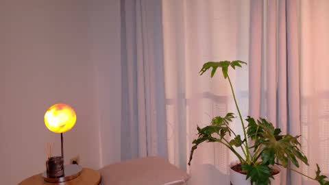 Snapshot of victorianova chatting on 14, 7, 2026 VictoriaNova online show from 14, 7, 2026