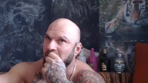 viking online show from 14, 11, 2025