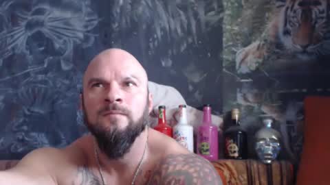 viking online show from 20, 11, 2025