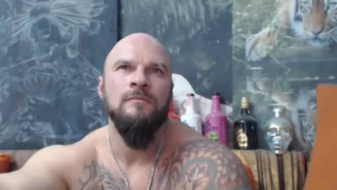 viking online show from 21, 11, 2025