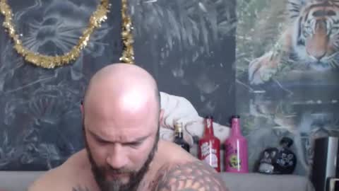 viking online show from 16, 3, 2026