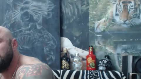 viking online show from 19, 4, 2026