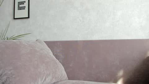 Vincent.  uncut 18cm online show from 10, 9, 2025