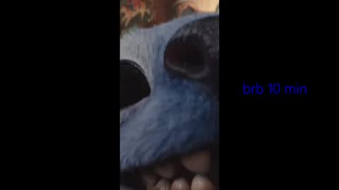 vinkitinkii online show from 6, 2, 2026