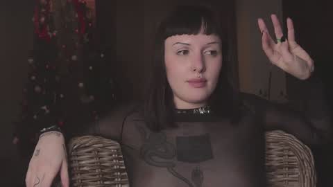 Snapshot of vinylstore chatting on 25, 12, 2024 Diva Silvia online show from 25, 12, 2024