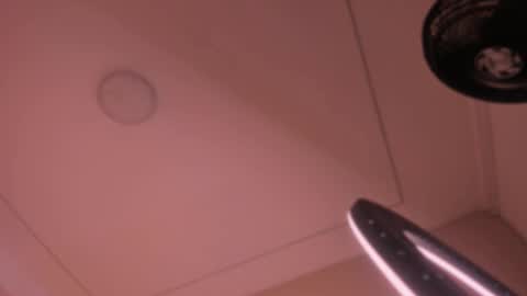 Violeta  online show from 15, 10, 2025