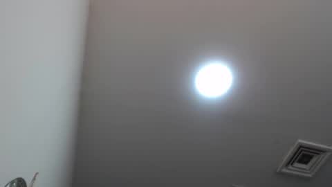 Violeta  online show from 21, 2, 2025