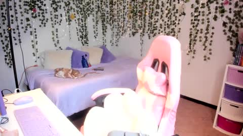 Violeta online show from 10, 10, 2025