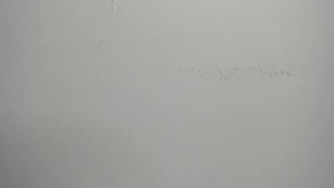 Snapshot of violett_24_ chatting on 1, 3, 2025 violett_24_ online show from 1, 3, 2025
