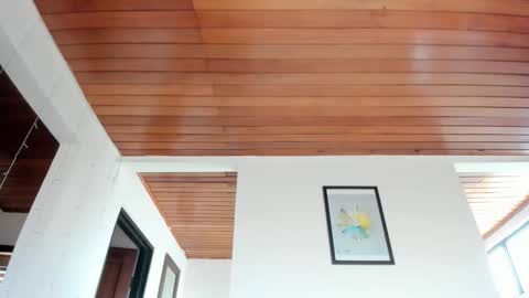 Vito Ferrer online show from 16, 1, 2026